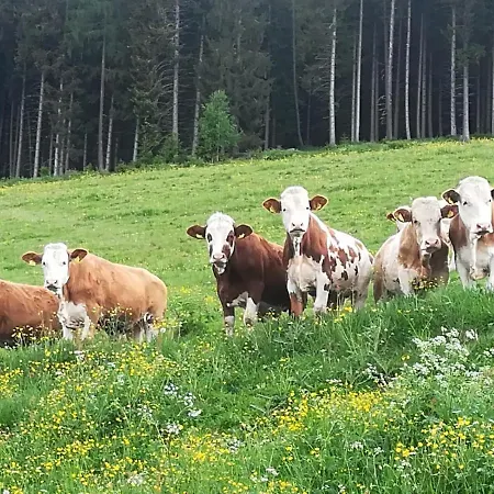 Premiumalmhuette Wiedhupf *