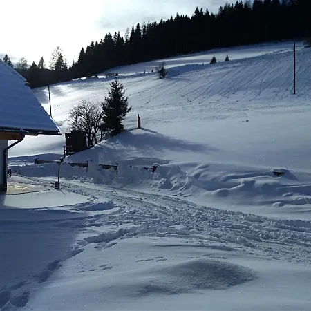 Premiumalmhuette Wiedhupf *