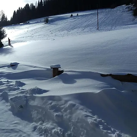 Premiumalmhuette Wiedhupf Chalet Peterdorf