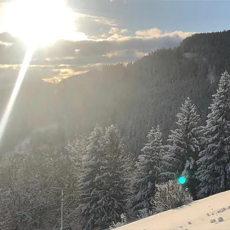 Premiumalmhuette Wiedhupf * Peterdorf