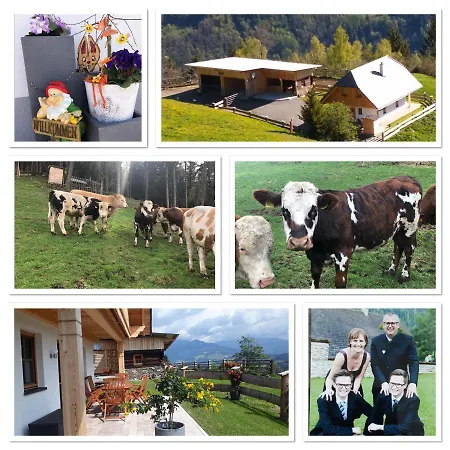 Premiumalmhuette Wiedhupf Chalet Peterdorf