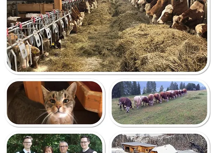 Horská chata Premiumalmhuette Wiedhupf