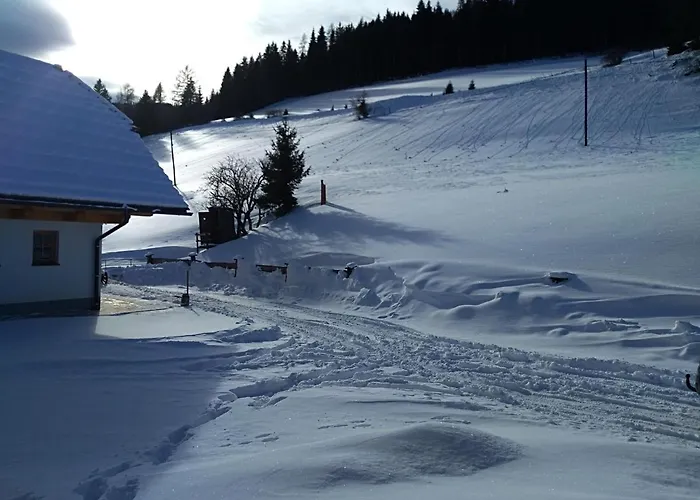 Premiumalmhütte Wiedhupf *