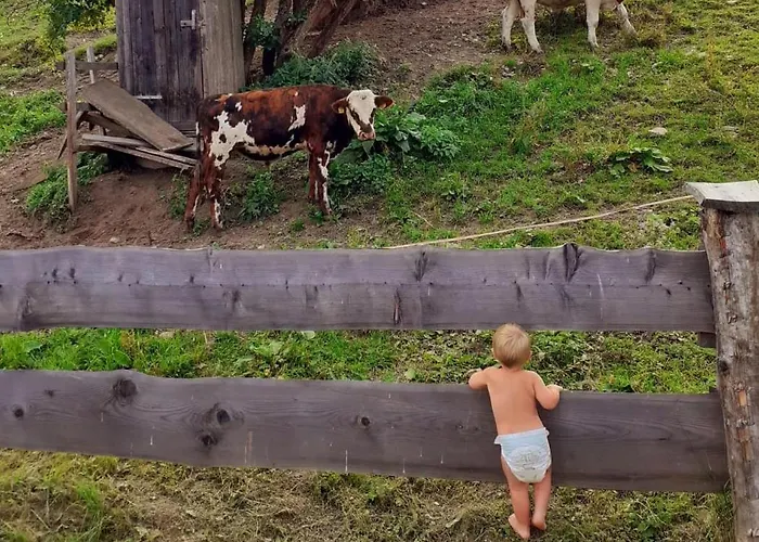 Premiumalmhütte Wiedhupf