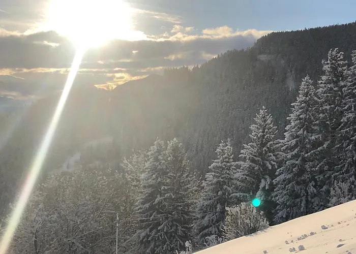 Premiumalmhuette Wiedhupf * Peterdorf